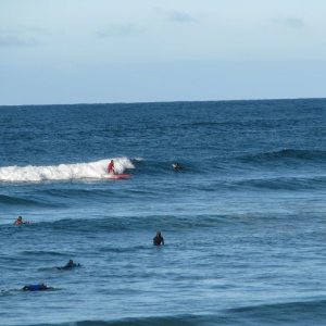 Como saber cuando hay olas