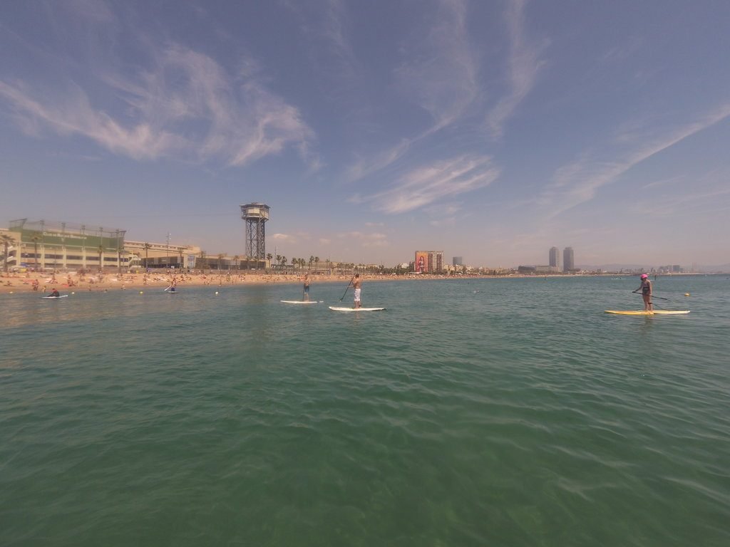 grupo de susrfers haciendo paddle surf en Barcelona